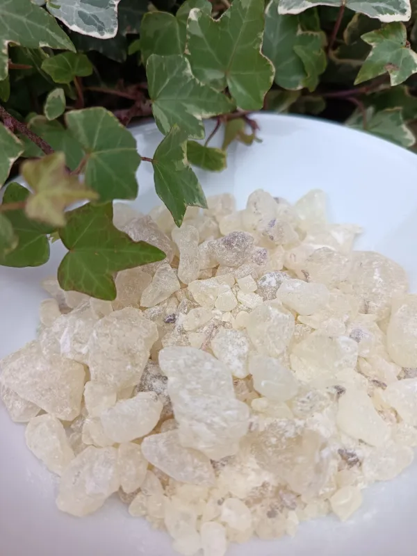 encens en grains gum damar